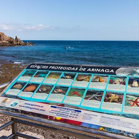Arinaga Playa 3 * Agüimes